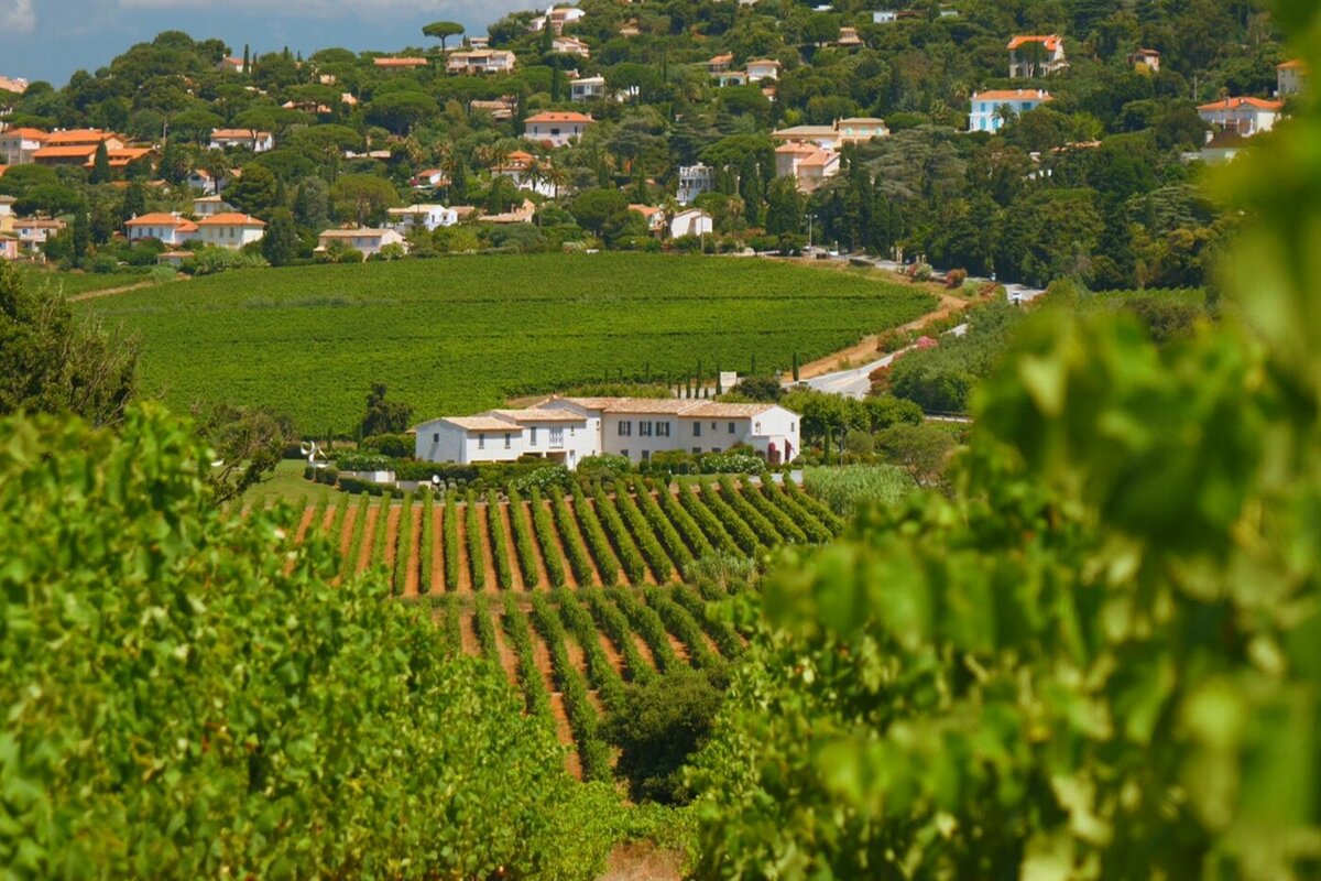 Les traces du Passé