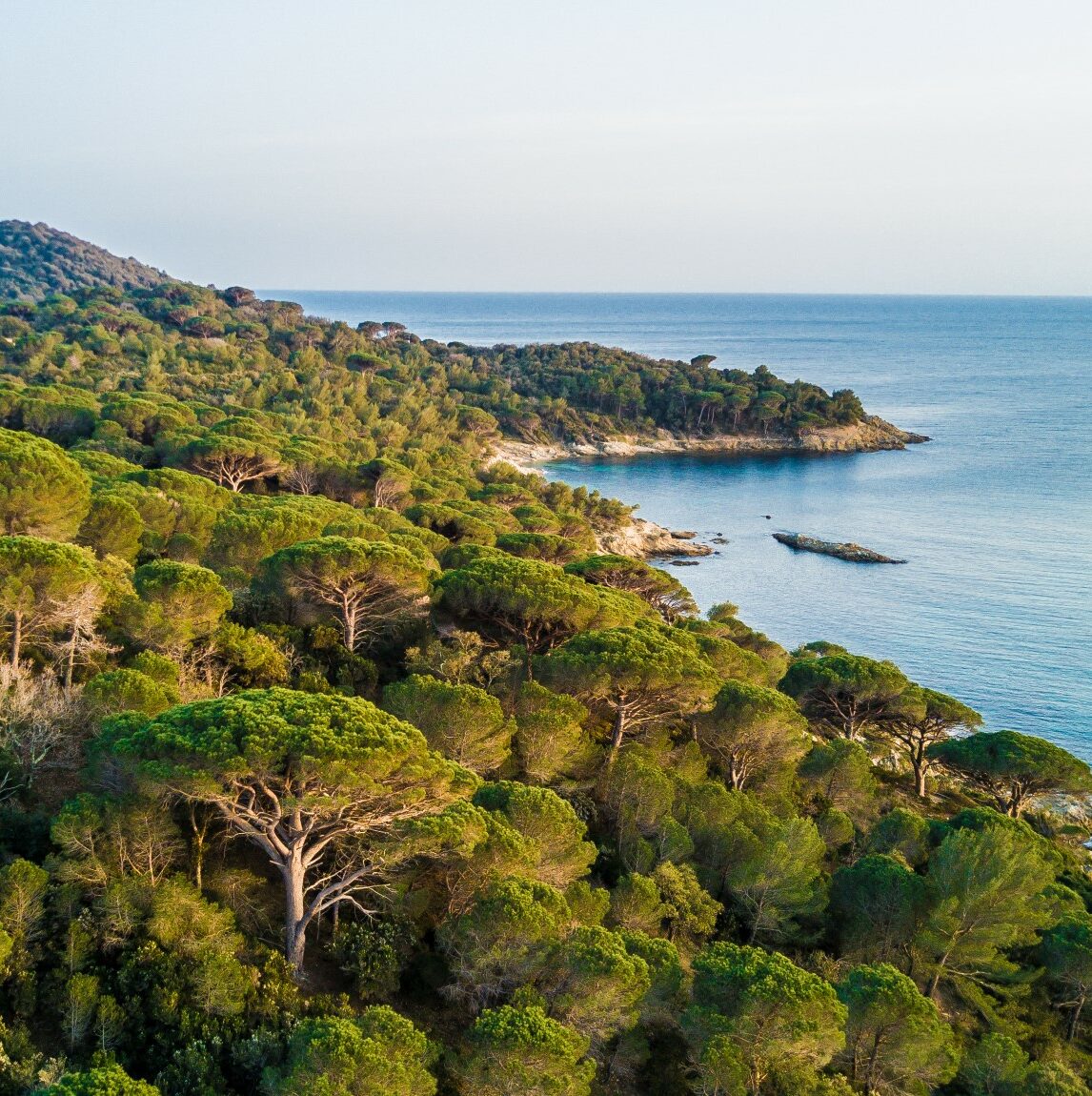 découvrir s'evader la croix valmer sentier balades plages terroir histoire littoral parc national de port cros quoi faire visiter