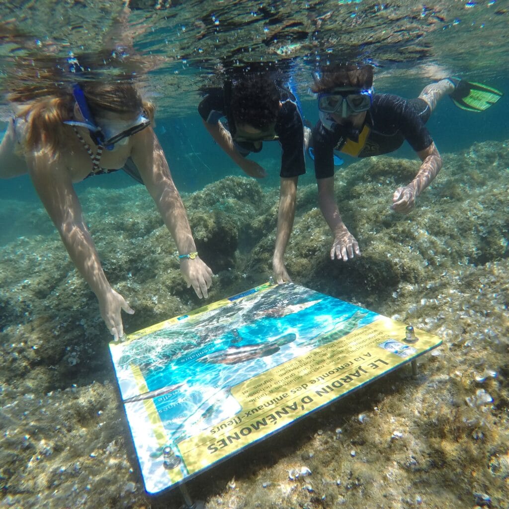 sentier marin ilot du crocodile plage de jovat snorkeling la croix valmer
