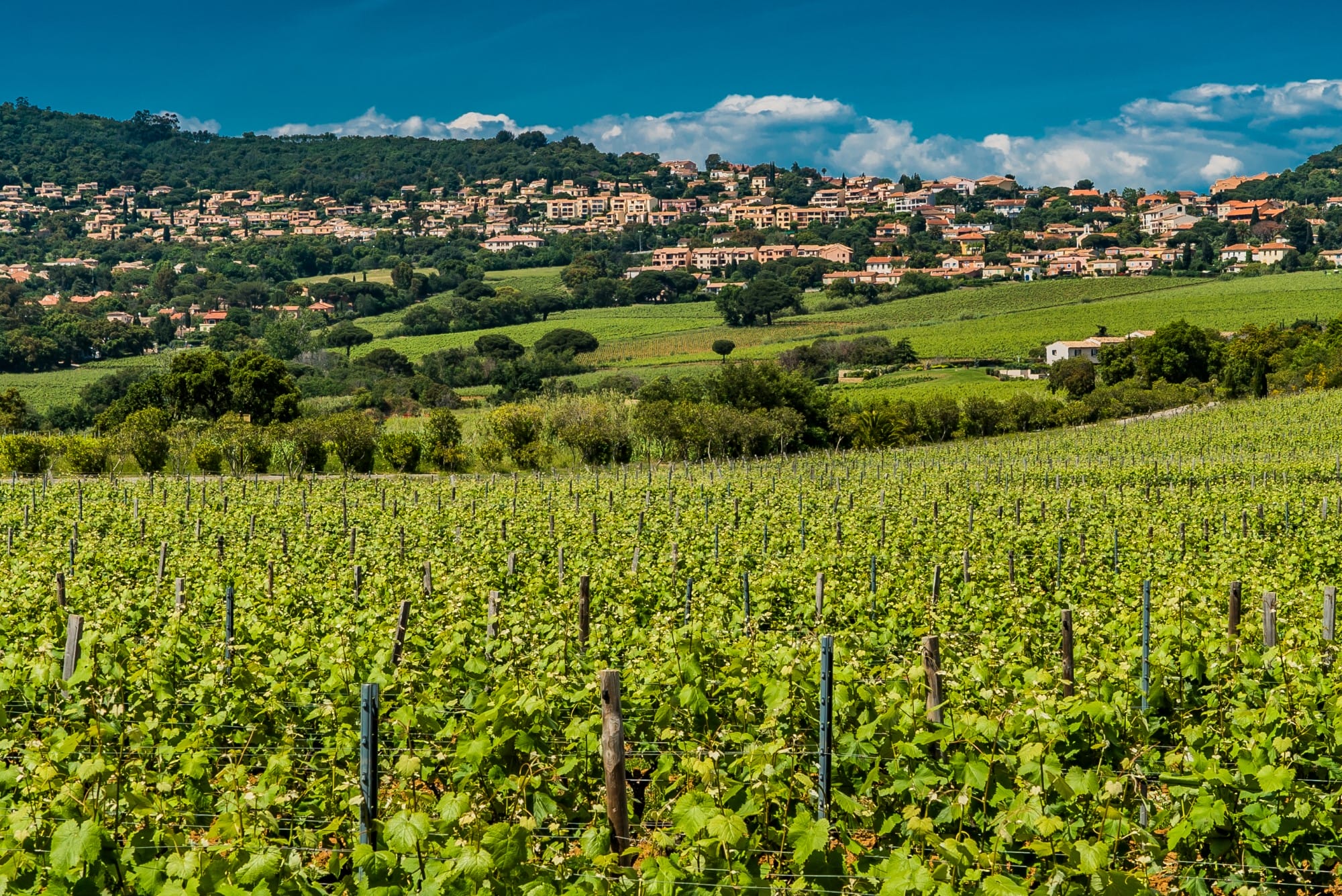 vue village vigne vignoble la croix valmer
