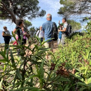 la croix valmer tourisme office de tourisme balades randonnées sentier du littoral