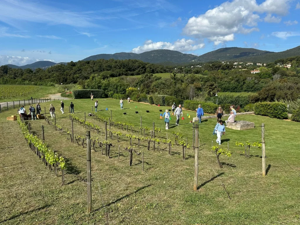 Activités en plein air dans un champ avec des adultes et des enfants, juste à coté de jeunes pieds de vignes au soleil.