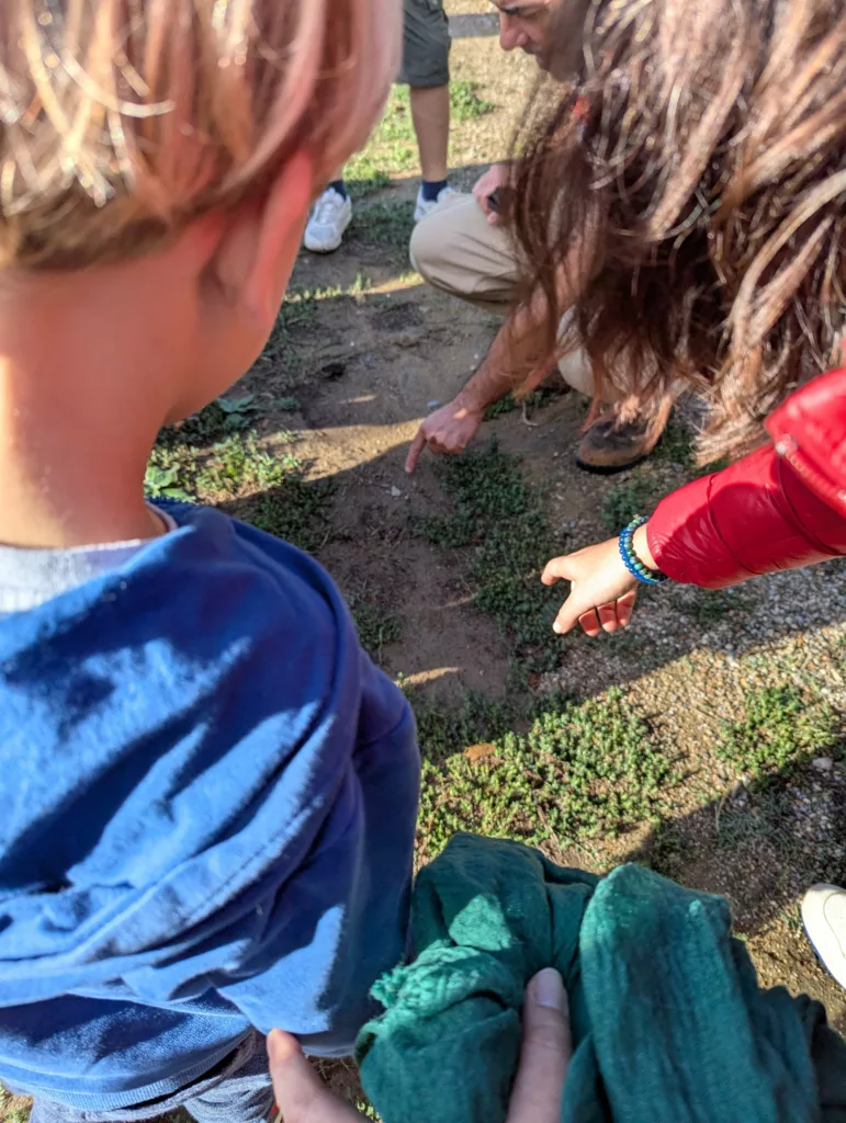 Un animateur indique à plusieurs enfants autour de lui ce qu'ils peuvent trouver sur le sol en leur pointant du doigt la terre et les herbes.