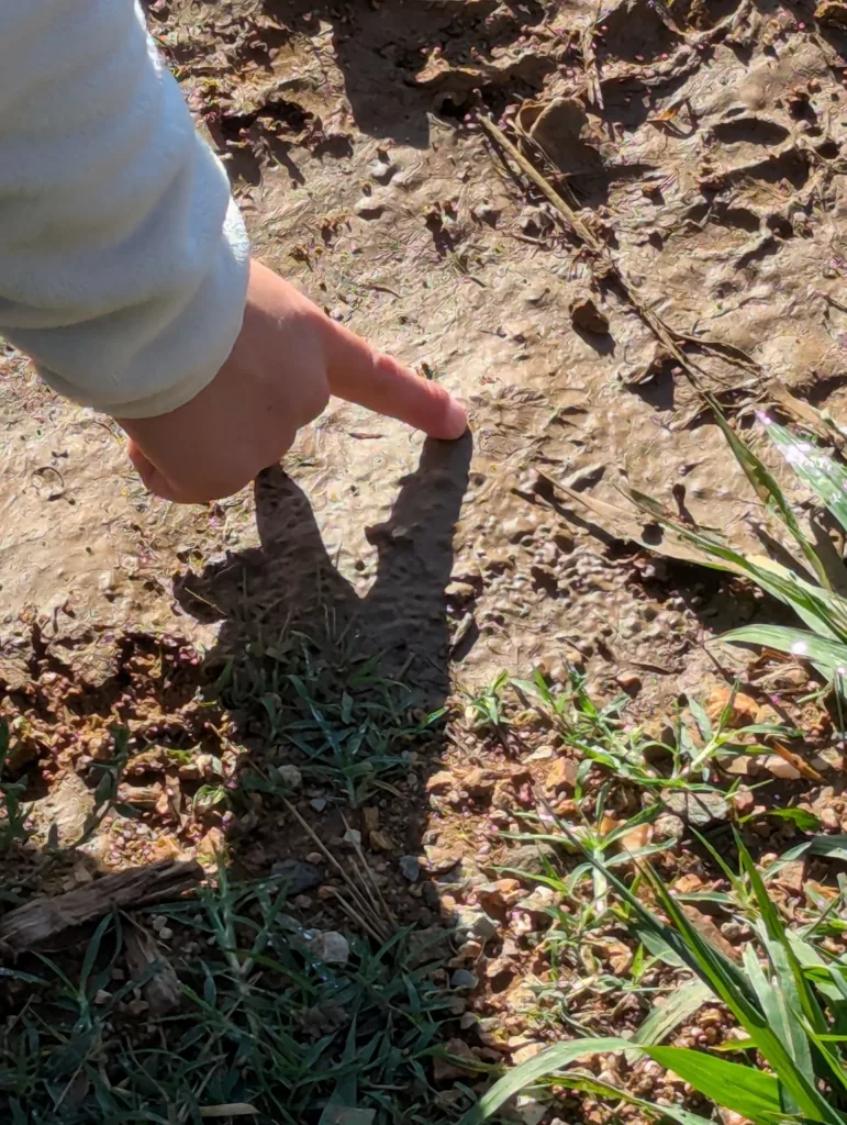 Une main d'enfant touche le sol avec son doigt. Sur le sol il y a de la boue et de l'herbe