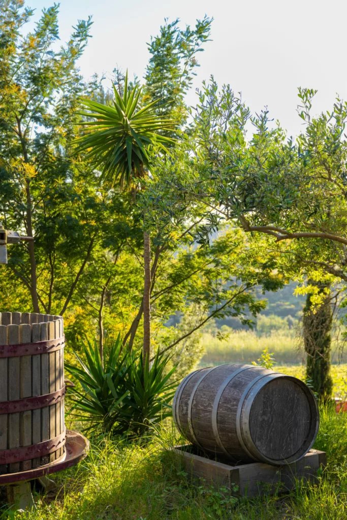 ©Domaine La Tourraque