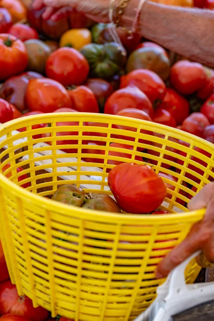 ©Guillaume Voiturier tomate de l'été en vente sur le marché de la croix pendant les vacances